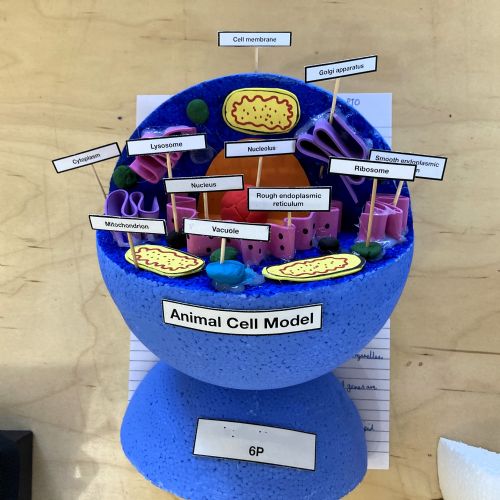 Science Model Making Competition