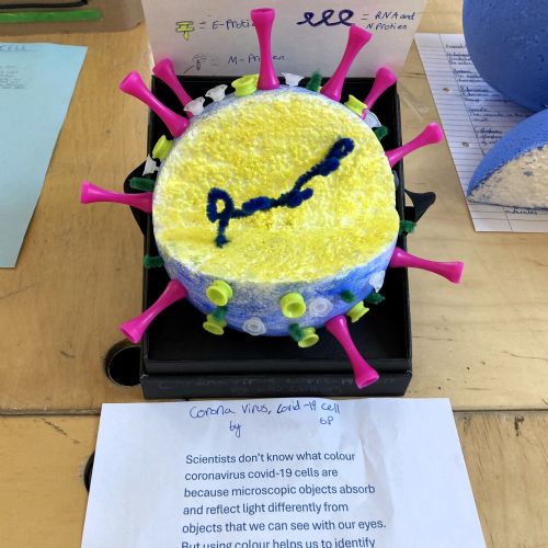 Science Model Making Competition